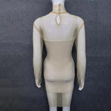 avant garde dress to impress Sexy Turtleneck Hot Drilling AB Color Diamond Shiny Perspective Grid Dress New Party Dress