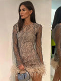 OKLULU  -  New Feather Sequins Partywear Mini Dresses For Women 2024 Fashion Mesh Sheer Sequined Long Sleeve Dress Lady Club Vestidos