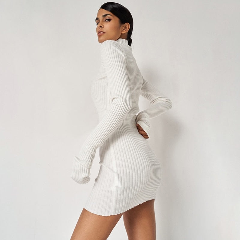 Long Sleeve Knit Bodycon Dress