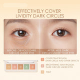 Multicolor Concealer Hided Blemishes Waterproof Longstay 5 Colors Concealer Cover Plate