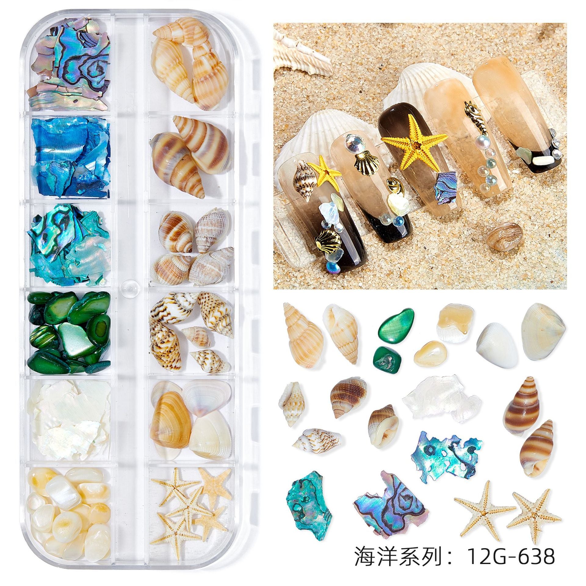 12Grids/Box Summer Marine Natural Nail Charm Design Summer Real Natural Starfish;Shell,Conch, Nail Art Rivet Decoration 2022GU#