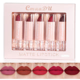 5 Colors Makeup Lipstick Cosmetics Lipstick Set Lip Tint Lip Gloss Waterproof Maquillaje Matte Long Lasting Make Up Pomade Kits