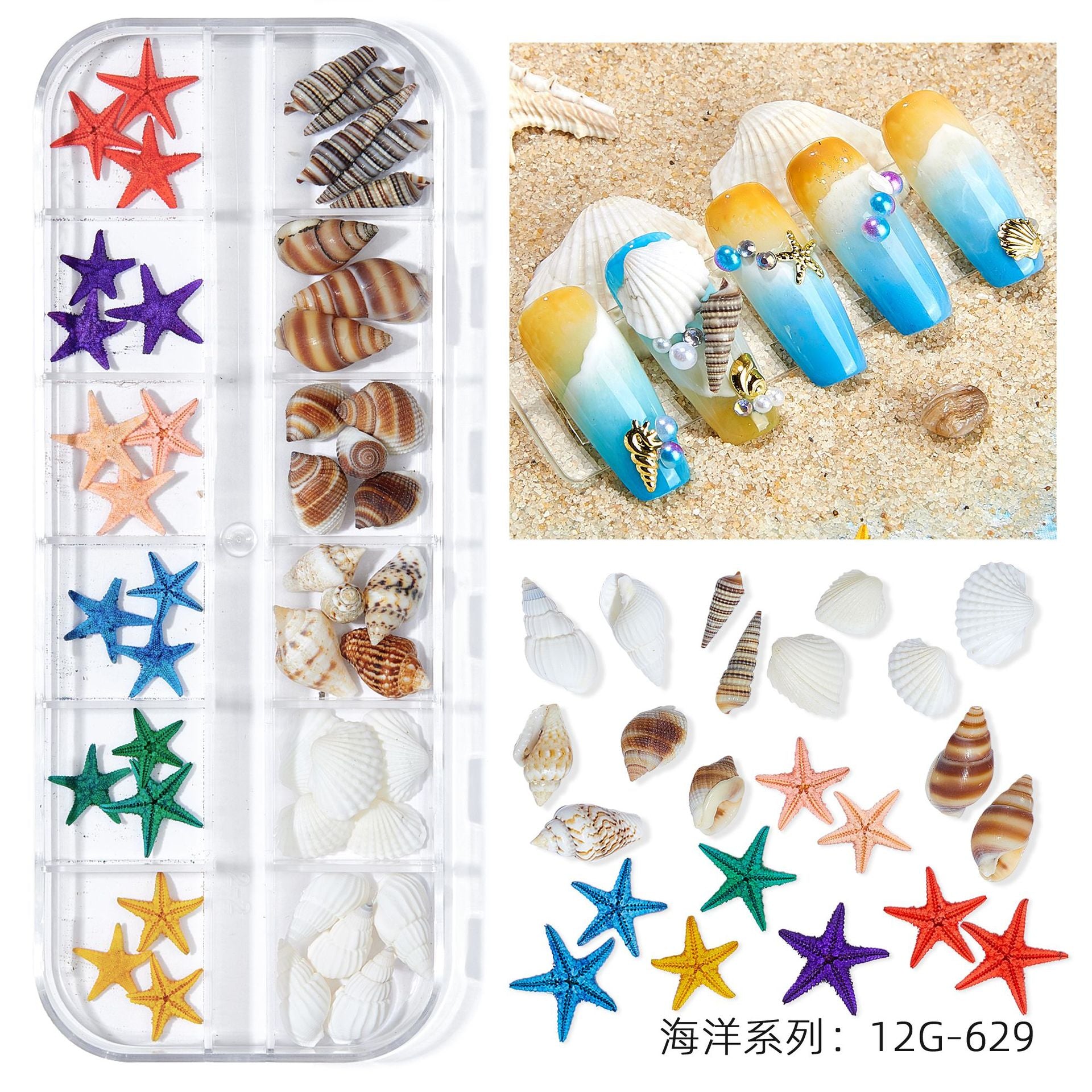 12Grids/Box Summer Marine Natural Nail Charm Design Summer Real Natural Starfish;Shell,Conch, Nail Art Rivet Decoration 2022GU#