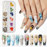 12Grids/Box Summer Marine Natural Nail Charm Design Summer Real Natural Starfish;Shell,Conch, Nail Art Rivet Decoration 2022GU#