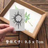 1PC Small Swallow Temporary Tattoo Sticker For Men Women Hand Waterproof Fake Tatto Flash Decal Animal Tatoo