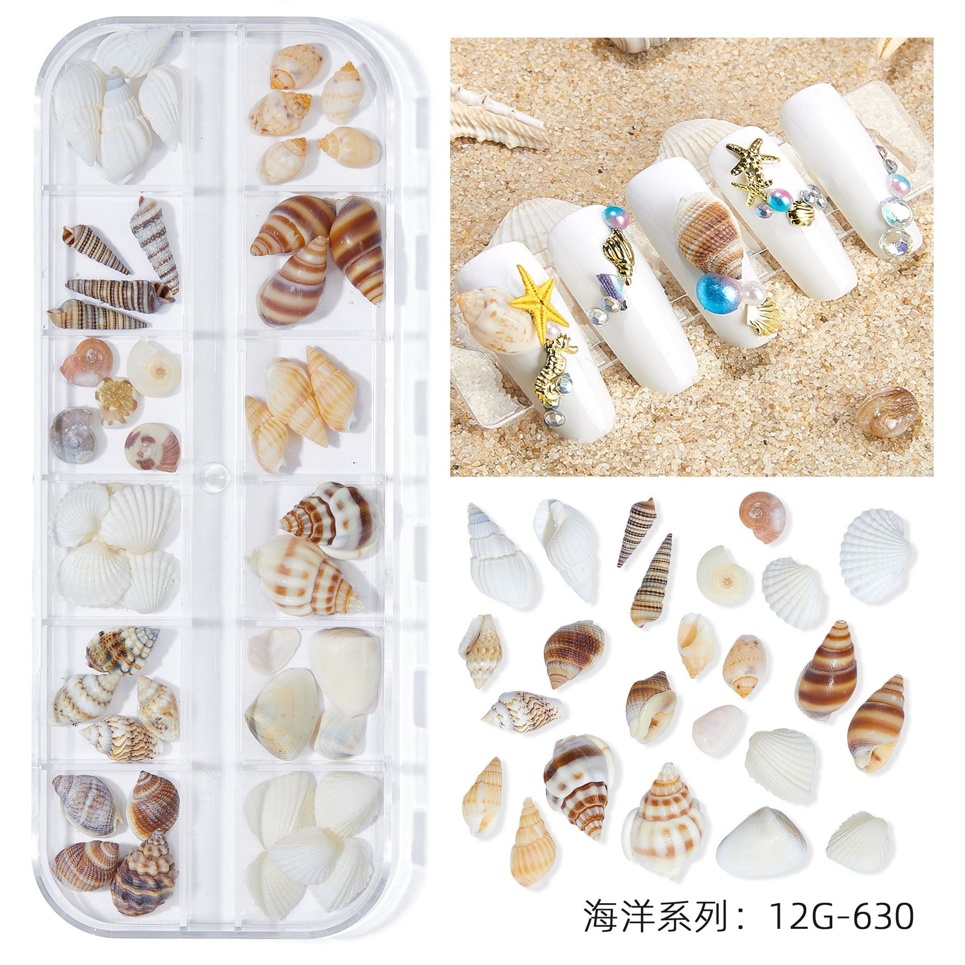 12Grids/Box Summer Marine Natural Nail Charm Design Summer Real Natural Starfish;Shell,Conch, Nail Art Rivet Decoration 2022GU#